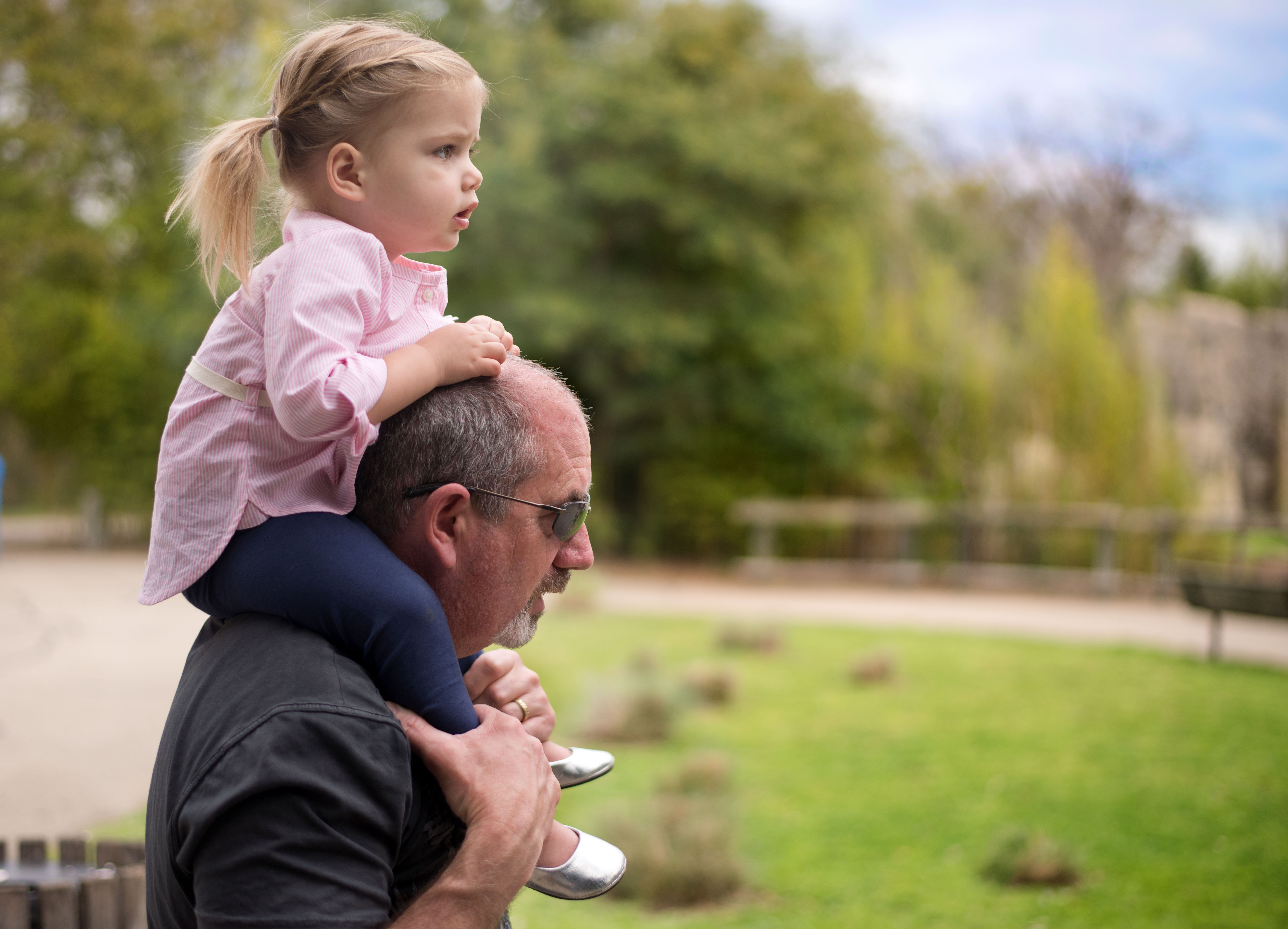 Old dads are the new norm Sydney Observer