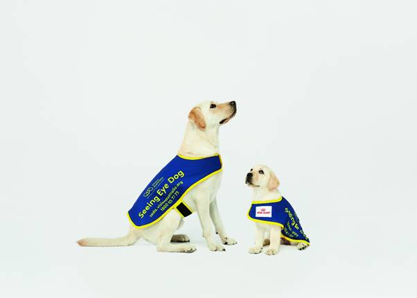 NORTH SHORE GETS INVOLVED IN SEEING EYE DOGS APPEAL