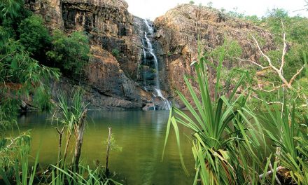 Outback Odyssey: The Top End’s Swimming Spots