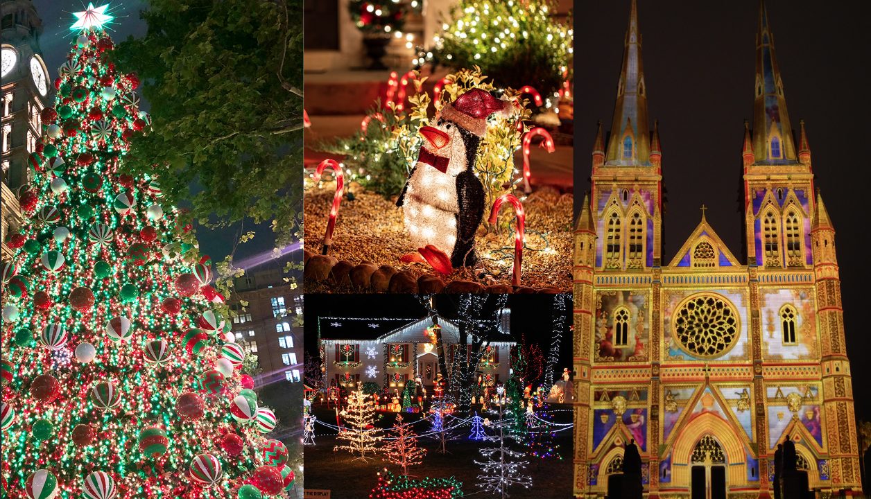 The Best Christmas Lights in Sydney Sydney Observer