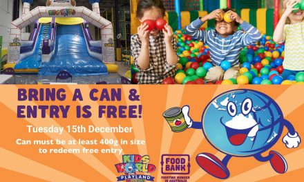 Support Charity and Receive Free Entry: Kids World Playland