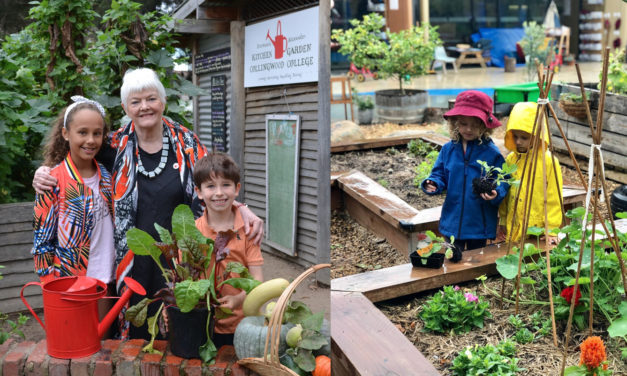 The Kitchen Garden Foundation – Food Education